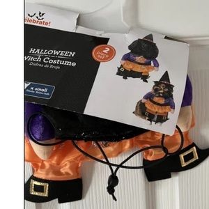 Celebrate Halloween Witch Costume dog pet costume Sz XS NWT